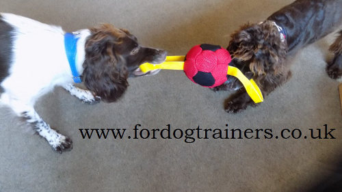 Dog Tug with Handles